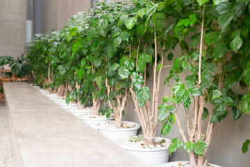 Comfortable co-working space interior loft style