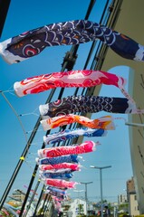 鯉のぼり