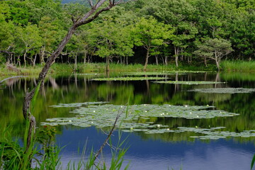 Obraz premium landscape of Shiretoko Hokkaido japan2