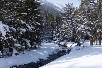 Galbe Valley in winter (Pyrenees, France)