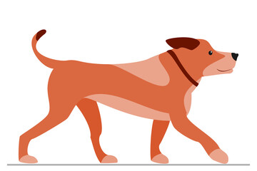 Brown dog with stains. Homemade pet with collar. Vector, isolated on white, style flat.