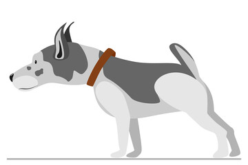 The dog looks aside carefully. Homemade pet is of interest. Vector, isolated on white, style flat.