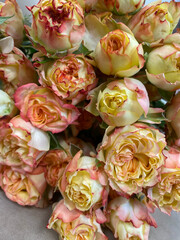 Beautiful peony bush roses in yellow and orange, a bouquet of roses in a flower shop