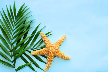 Fototapeta na wymiar Blue summer background with palm leaves and starfish, beautiful tropical leaf pattern, top view , copy space