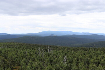 A view to the landscape with extensive forest from mountain Jizera, Czech republic