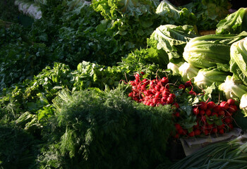Fresh herbs and vegetables at the market. Turkey Kemer. The play of light and shadows.