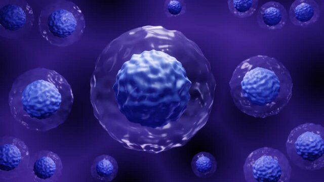 Stem Cell Stem Cell