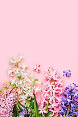 Flowers festive composition. Pink Spring or Easter Floral Background. Beautiful hyacinths flowers, Hello spring concept