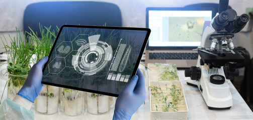A tablet with infographics in the hands of a scientist. Grain analysis in the laboratory.