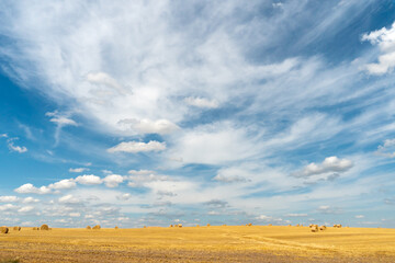 Hay bales dry in the field on a warm summer day under beautiful fluffy clouds and a blue sky. Beautiful rural landscape. The season of grain harvesting and foraging for livestock. cereals and legumes