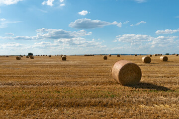 bales of hay in a field of wheat. End of the harvest season. Beautiful summer sunny landscape of agricultural field under blue sky and fluffy clouds.