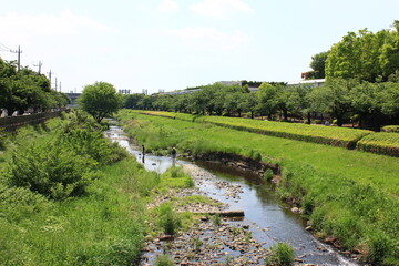 Fototapeta na wymiar 川にある風景。東京を流れる野川の風景。成城近辺。