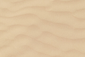 Fototapeta na wymiar Sand texture background. Desert life. Sandy dune