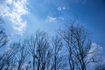 blue sky , White clouds floating on sky and sun shines through the clouds. for backgrounds concept.