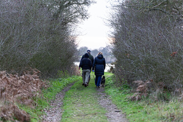 Fototapeta premium An unknown family walking their dog through the beautiful Suffolk countryside on a cold winters day
