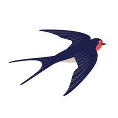 Vector cartoon swallow isolated on white background. Bird in flight.