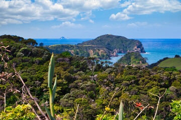 View of the sea and mountains with thick vegetation.