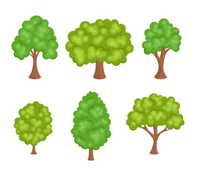 Set of cartoon green trees isolated on  white background. Vector flat simple illustration. Icons.
