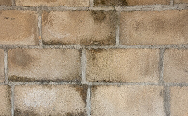 Abstract background,
cement wall texture covered with moss. 
for graphic design, space for text.