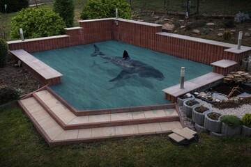 The Shark in my Garden