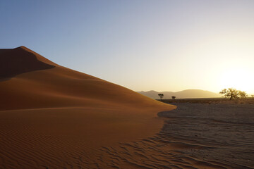 Fototapeta na wymiar The red dunes of sossusvlei national park during sunset.