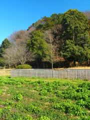堆肥置き場のある早春の里山風景