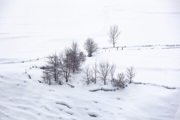 Snowy winter mountains in Georgia. Caucasus Mountains
