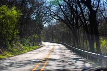 a curve in the road in the woods