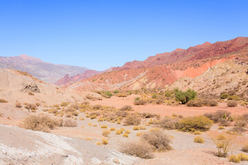 Bolivian canyon near Tupiza,Bolivia