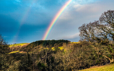 Rainbow over the forest
