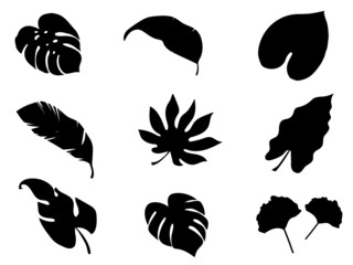 Set leaves plant silhouette isolated  for nature and on white background, Hand drawn vector.