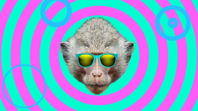 Monkey style wiggle moving color background. Abstract graphics in trendy colors and style. Seamless looped motion graphic animation.