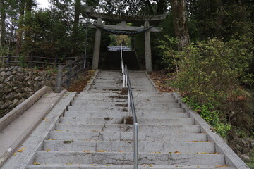 鳥居と階段