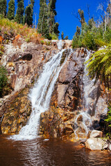 Steavenson Falls in Marysville Australia