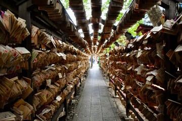 川越氷川神社　絵馬