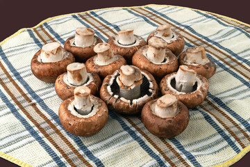Mushrooms on towel. Brown champignons. Pile of mushrooms.