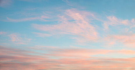 Naklejka na ściany i meble fluffy pink cirrus clouds at light blue sky, beautiful sunset scenery