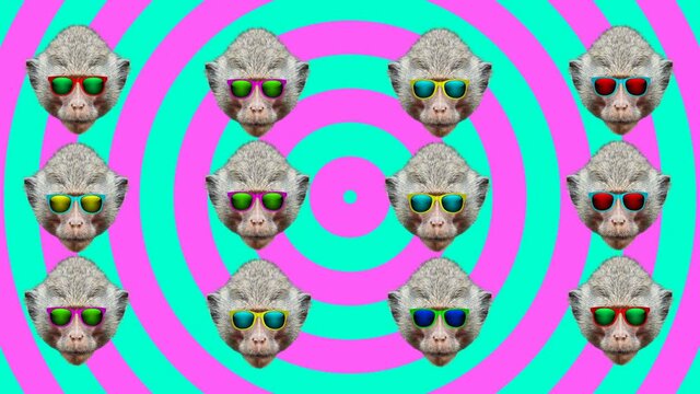 Monkey style wiggle moving color background. Abstract graphics in trendy colors and style. Seamless looped motion graphic animation.