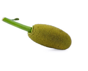 Jackfruit isolated on white background