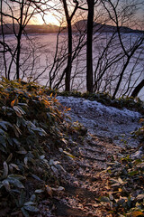 落ち着いた雰囲気の湖畔の森。