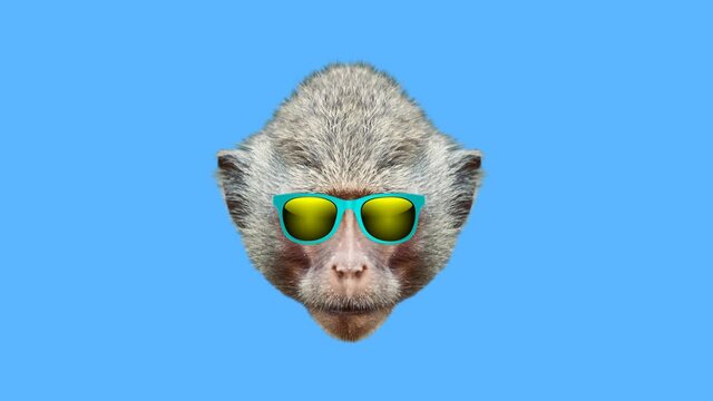 Monkey style wiggle moving color background. Abstract graphics in trendy colors and style. Seamless looped motion graphic animation.