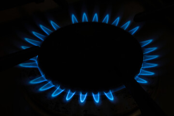 Gas burners with blue natural gas on black background in the kitchen oven.
Focus on the flames in the back