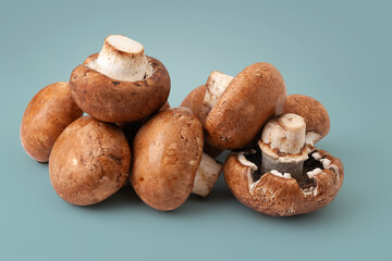 Raw mushrooms. Brown wet champignons on gray-blue background. Bunch of fresh mushrooms.