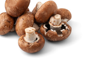 Champignon mushrooms isolated on white background. Brown wet mushrooms with copy space. Bunch of raw mushrooms.