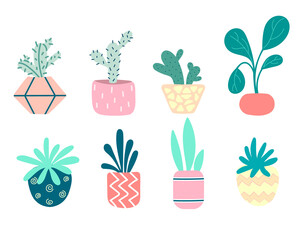 A set of home plants in pots.Cacti,ficus, rose