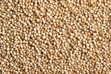 Quinoa seed background, macro view