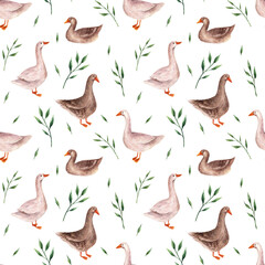 Pattern with geese in watercolor