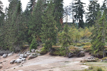 Obraz premium Landschaftsfotografie im Harz