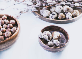 quail eggs and sprigs of fluffy gray willow on a wooden plate. eggs, nuts and tree branches on a white with a dining table