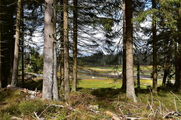 Landschaftsfotografie im Harz